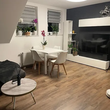 Rosa * ホルン・バート・マインベルク