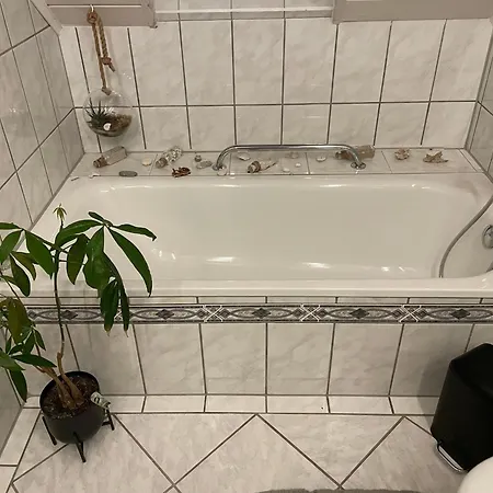 Rosa Apartment Horn-Bad Meinberg