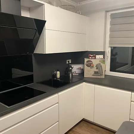 Rosa * ホルン・バート・マインベルク