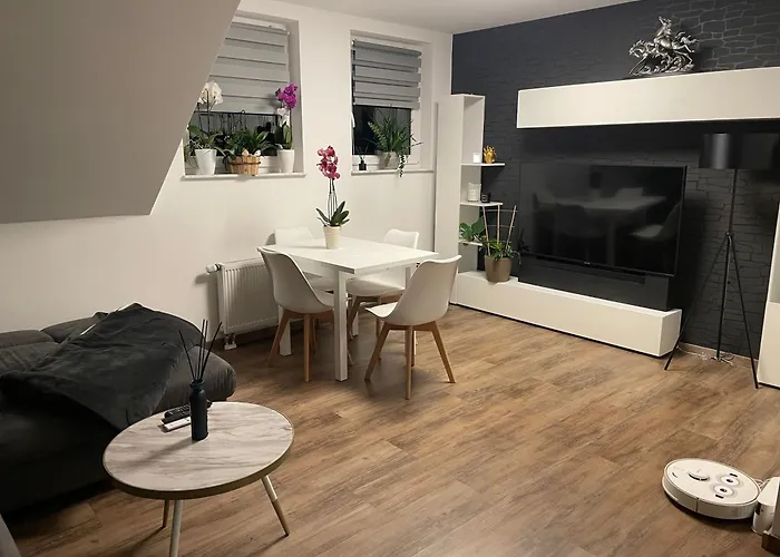 Rosa * Horn-Bad Meinberg