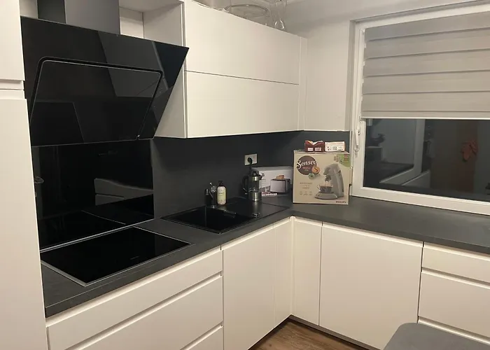 Rosa * Horn-Bad Meinberg